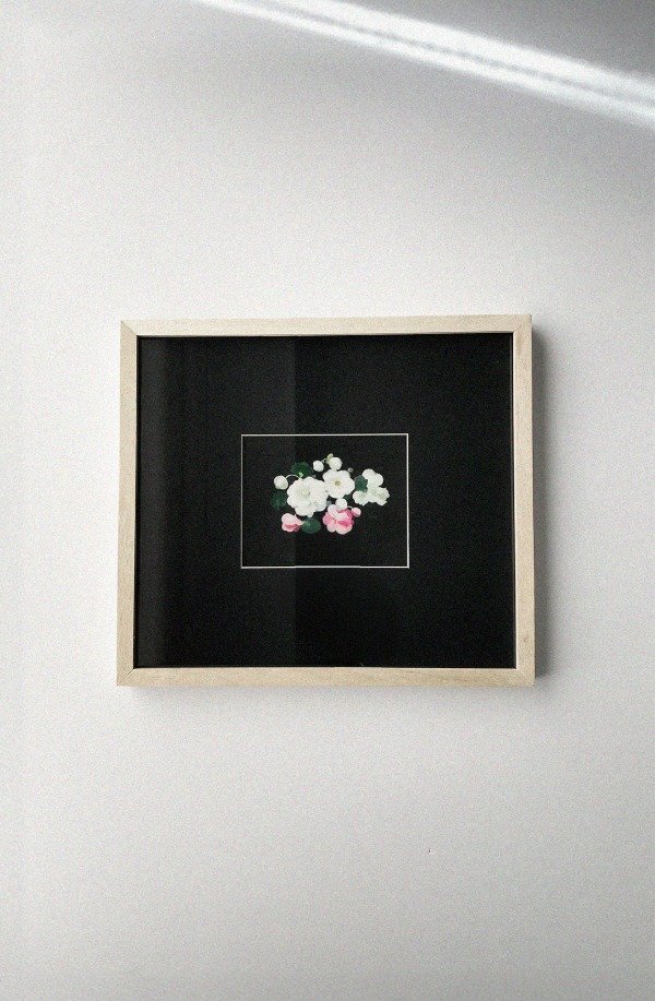 Producto - Wild Roses