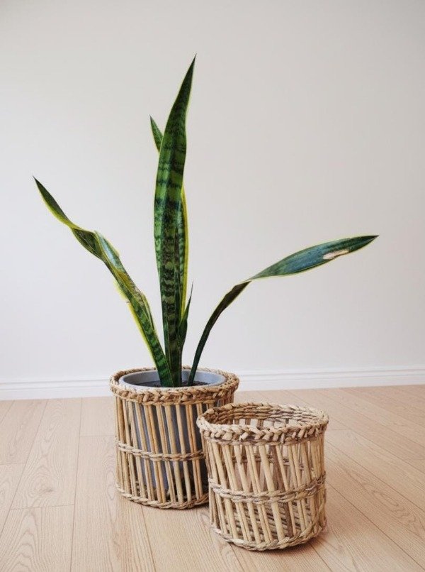 Producto - Cesto de Junco + Calado recto