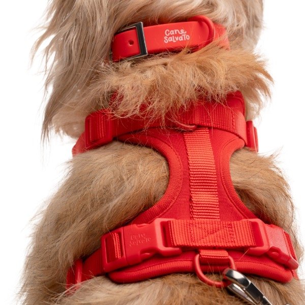 Producto - Set Laika ROJO