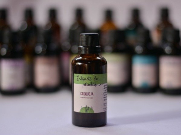 Producto - Tintura Madre de Carqueja - 0
