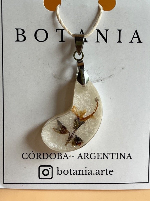 Producto - Variedad 13 romero