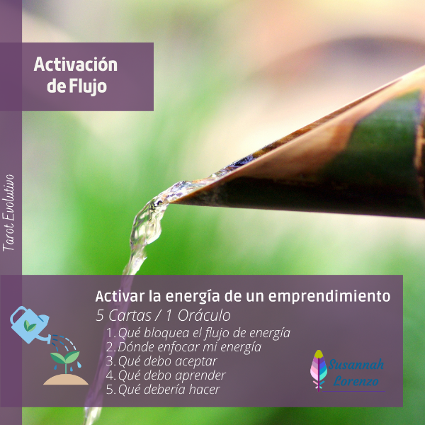 Producto - Consultas para Emprendimientos