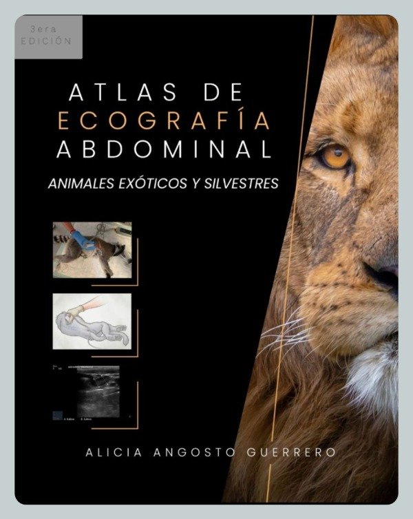 Producto - Angosto: Atlas de Ecografía Abdominal en Animales Exóticos y Silvestres, 3ra