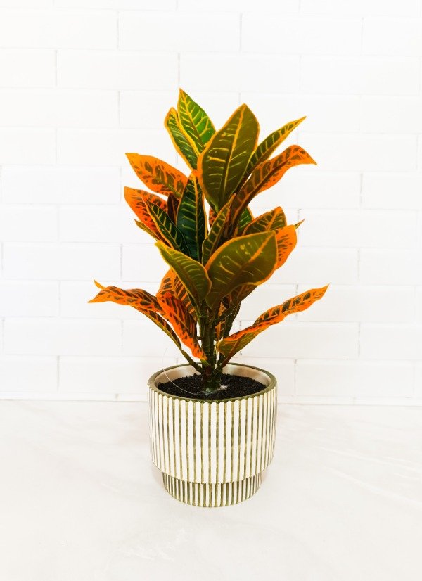 Producto - Planta 28cm