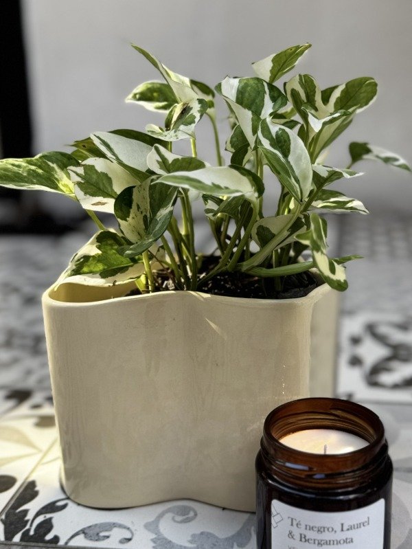 Producto - Maceta Ondeada