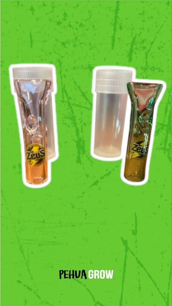 Producto - filtro de vidrio zeus