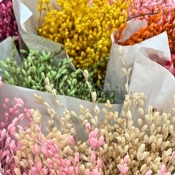 Producto - Campanita