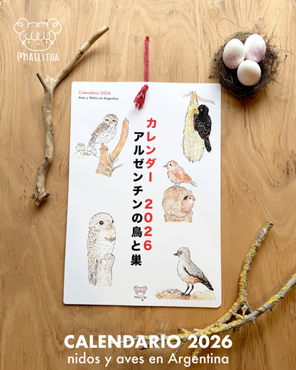 Producto - Calendario 2026 XL