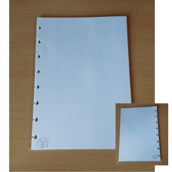 Producto - Repuestos A5 para Cuadernos con Discos - 3 al cubo