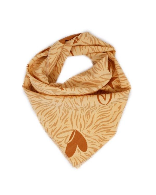 Producto - Pañuelo Cecilia