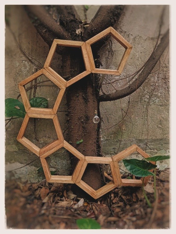 Producto - PanalCósmico - 2