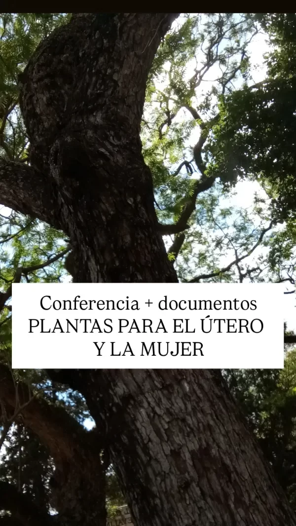 Producto - Conferencia PLANTAS PARA EL UTERO y documentos