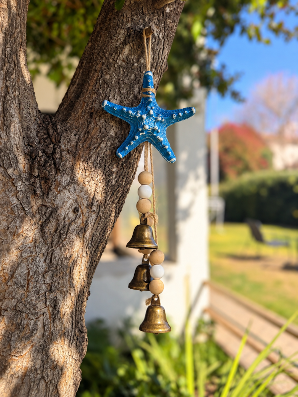 Producto - Estrella de mar - 1