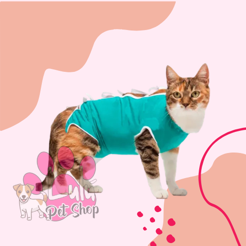 Producto - BODYS POST-QUIRURGICOS