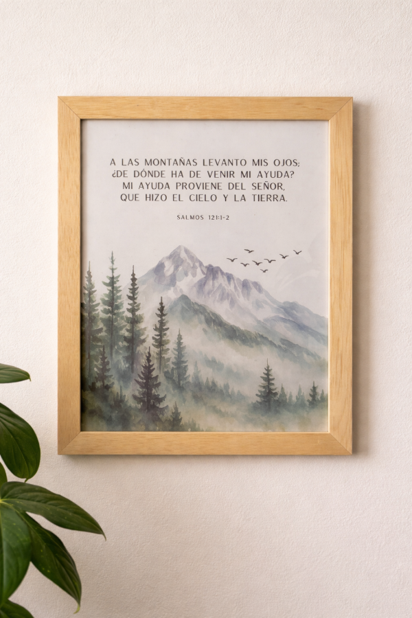 Producto - MI SOCORRO