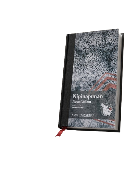 Producto - NIPINAPUNAN ARTESANAL - ALEXIS VOLLANT