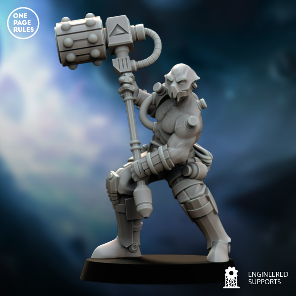 Producto - Berserker de la Dinastía - Star Quest