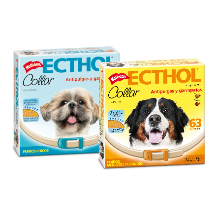Producto - Collar ECTHOL perros