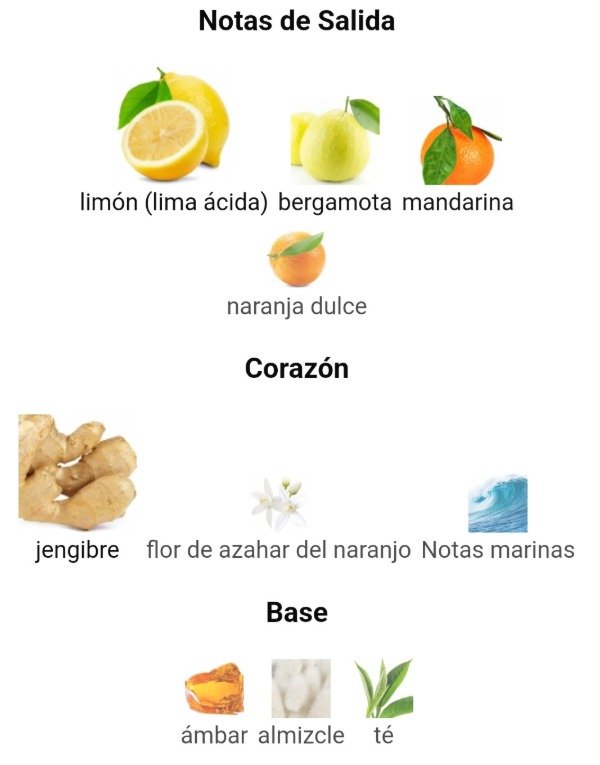 Producto - Perfume Odyssey Limoni Fresh 200ml Armaf - 2