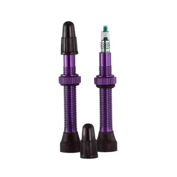Producto - VALVULAS PICO FINO EL PAR TUBELESS VALVE VIOLETA