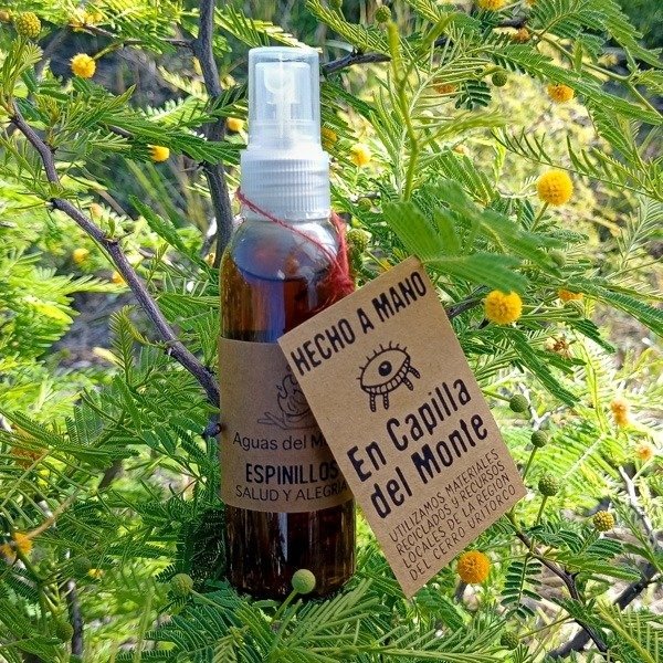 Producto - Agua de Espinillos - Renovación, manifestación y cambio