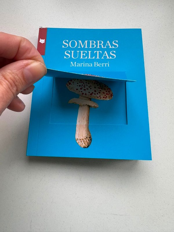 Producto - Sombras sueltas - 1
