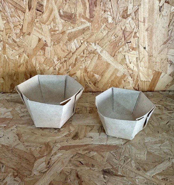 Producto - POTE BIODEGRADABLE 250 CC -COD. 1629