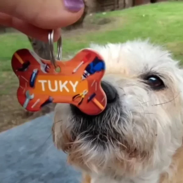 Miniatura de producto - 5