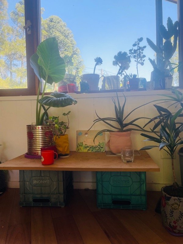 Producto - Aloe punk rosa