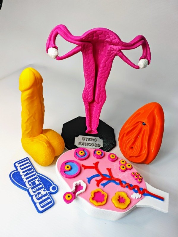 Producto - COMBO ESI ÚTERO + CICLO OVÁRICO + PENE + VAGINA