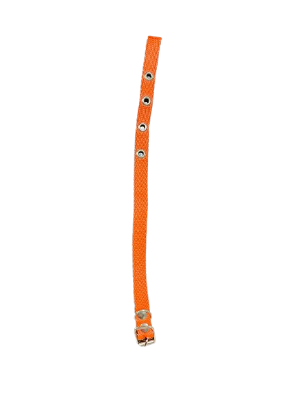 Producto - COLLAR Nro. 1