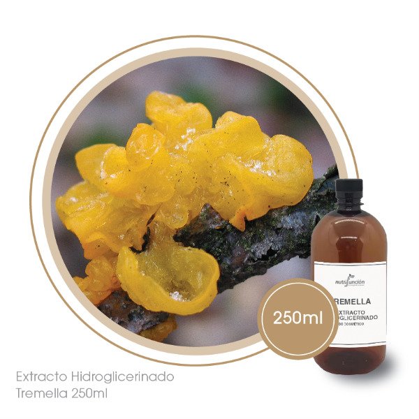 Producto - Extracto Hidroglicerinado de Tremella x 250 ml