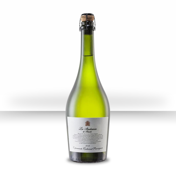 Producto - Bianchi Stradivarius Cabernet Sauvignon