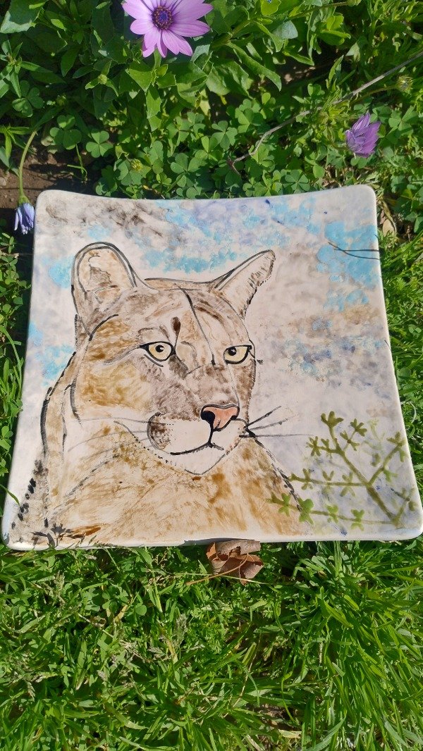 Producto - Plato Puma