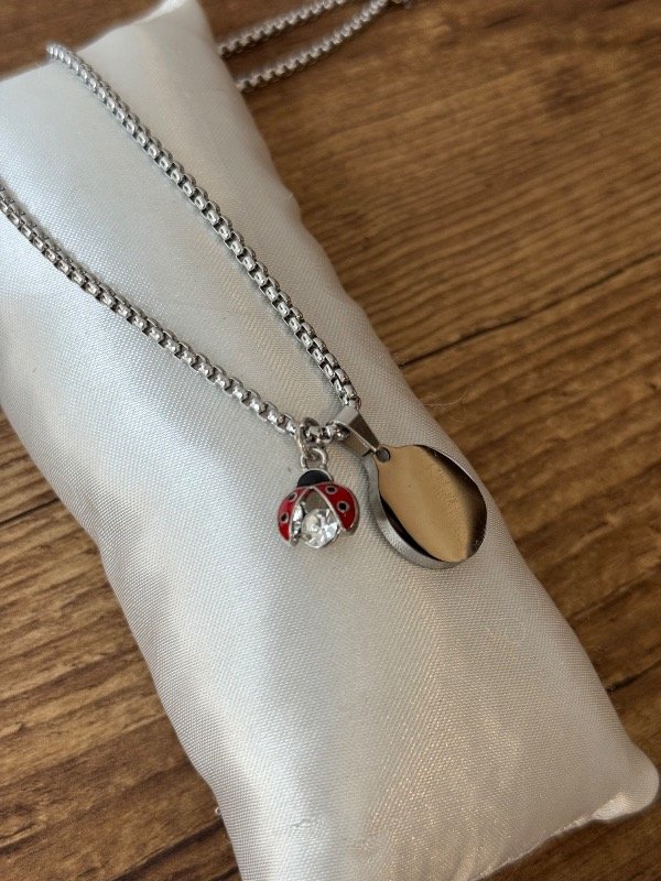 Producto - Dúo Mariquita