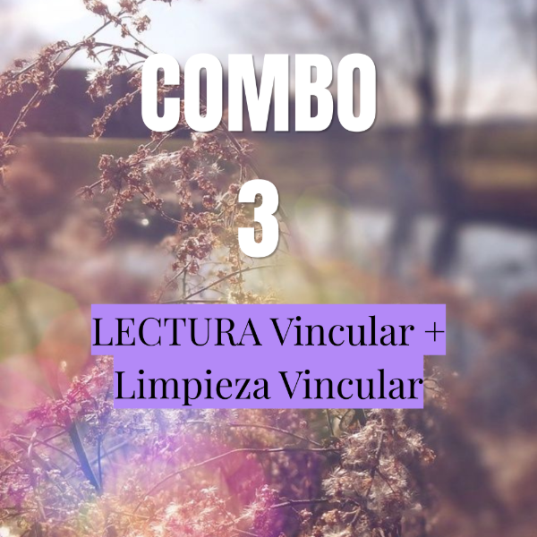 Producto - Combo 3 Lectura Vincular + Limpieza Vincular