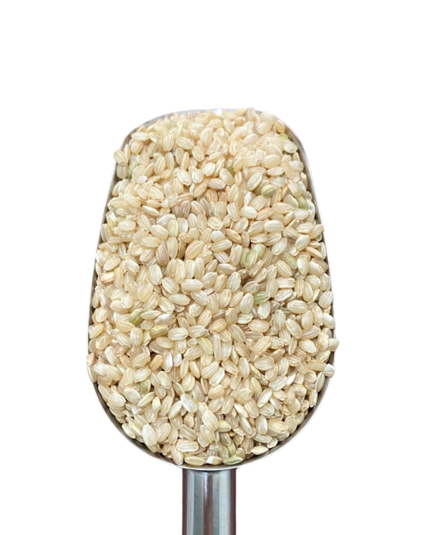 Producto - ARROZ YAMANI INTEGRAL 500G