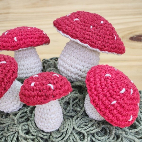 Producto - MI PRIMER AMIGURUMI - HONGUITO - 6