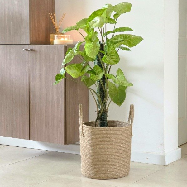 Producto - Cesto con manijas externas 30x30