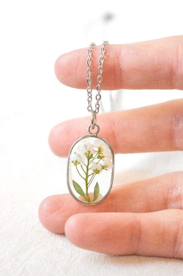 Producto - Bosque Alisos Blanco