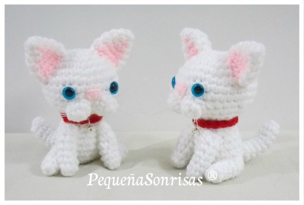 Producto - Gatos - 4