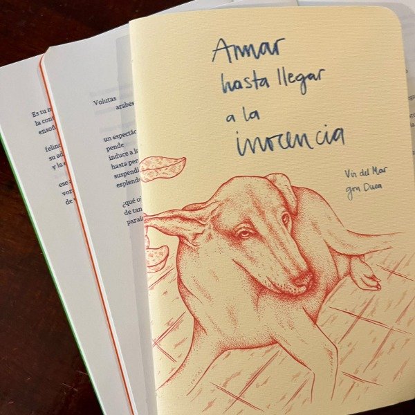 Producto - Amar hasta llegar a la inocencia - 2
