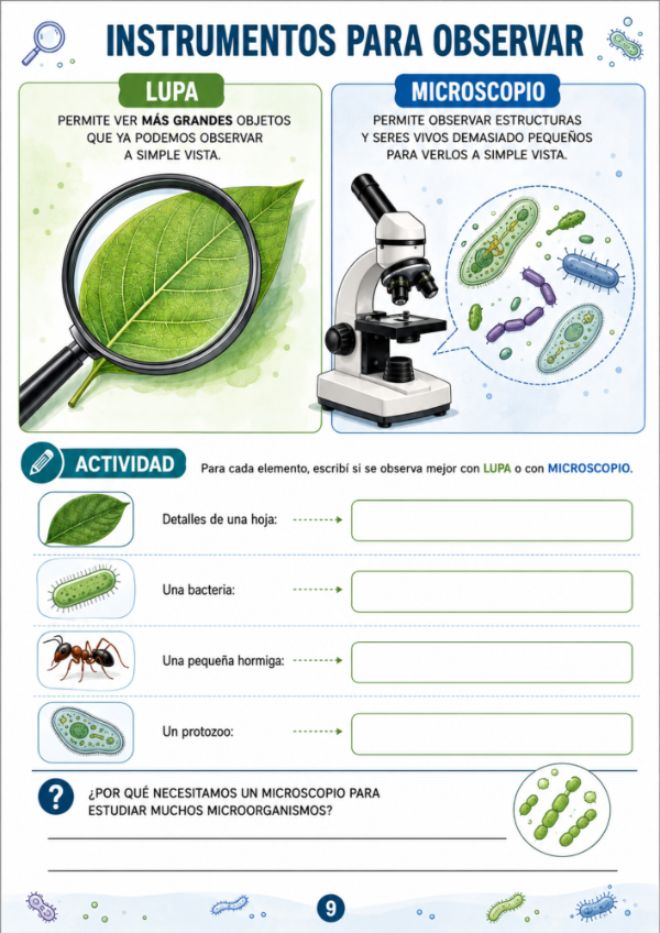 Producto - Vida de los Microorganismos - 7