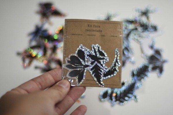 Producto - Stickers Holograficos Serie  Recolectadas
