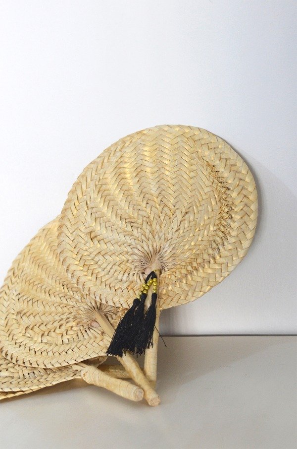 Producto - Abanico ASTERI