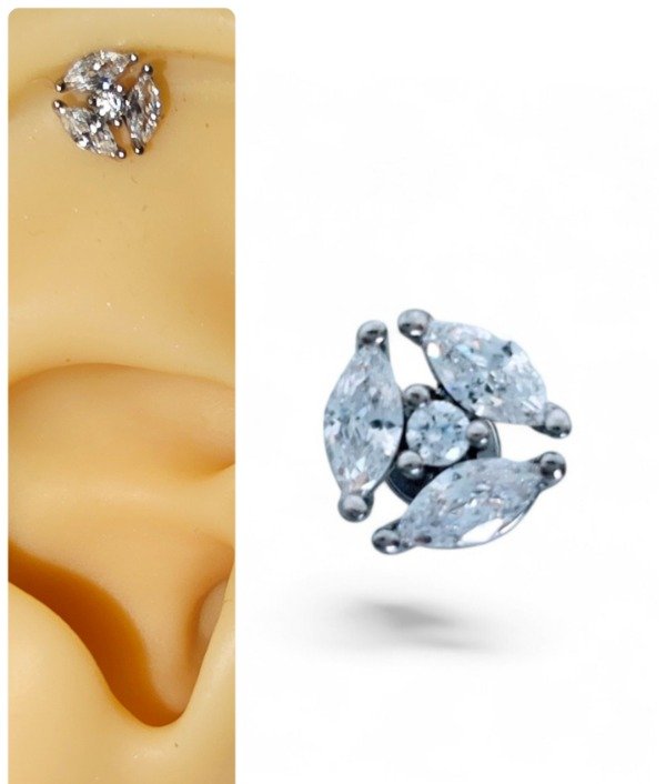 Producto - Molino strass premium