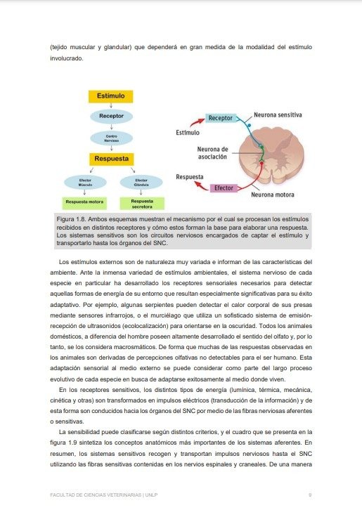 Producto - Zuccolilli: Neuroanatomía y Neurofisiología Animal - 6