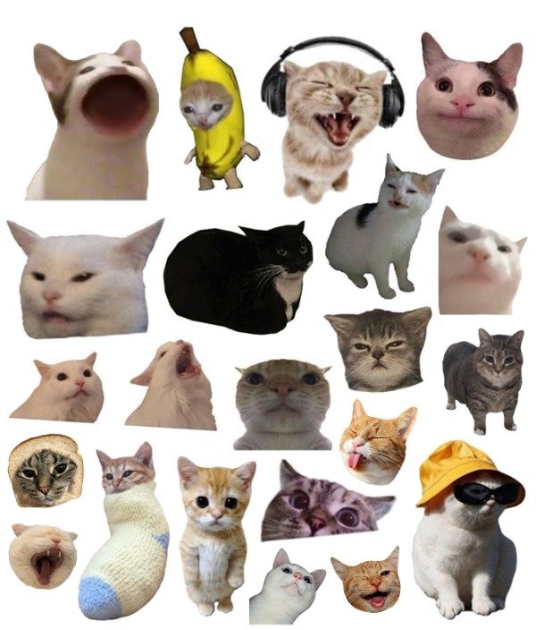 Producto - Gatitos virales