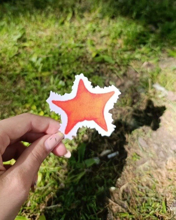 Producto - Estrella Culona