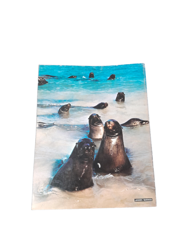 Miniatura de producto - 7